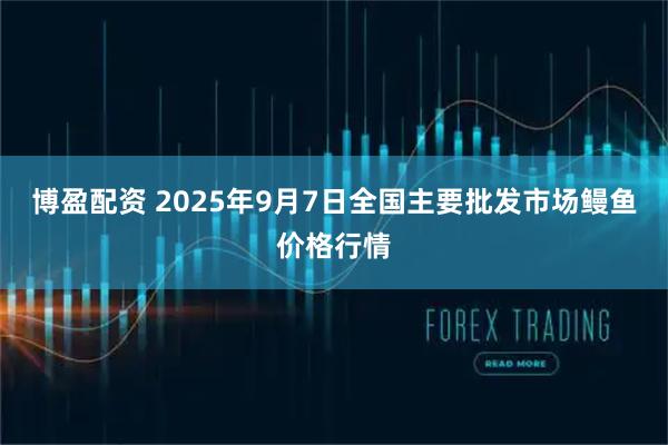 博盈配资 2025年9月7日全国主要批发市场鳗鱼价格行情