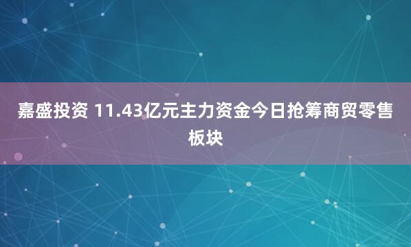 嘉盛投资 11.43亿元主力资金今日抢筹商贸零售板块
