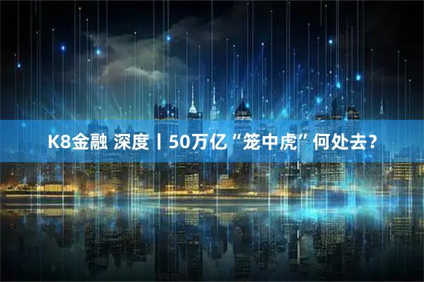 K8金融 深度丨50万亿“笼中虎”何处去？