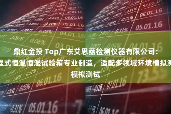鼎红金投 Top广东艾思荔检测仪器有限公司：可程式恒温恒湿试验箱专业制造，适配多领域环境模拟测试