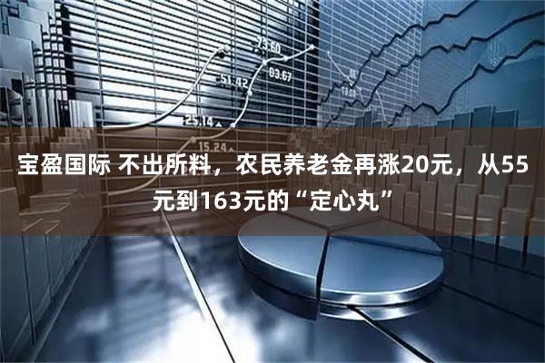 宝盈国际 不出所料，农民养老金再涨20元，从55元到163元的“定心丸”